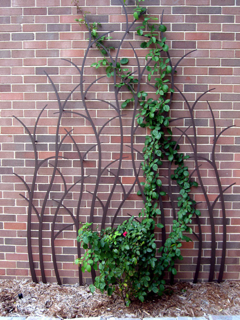 Shaped Branching Trellis by Trellis Art Designs