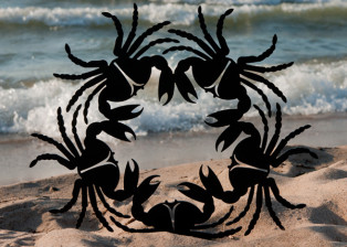 Crab Wreath I by Trellis Art Designs