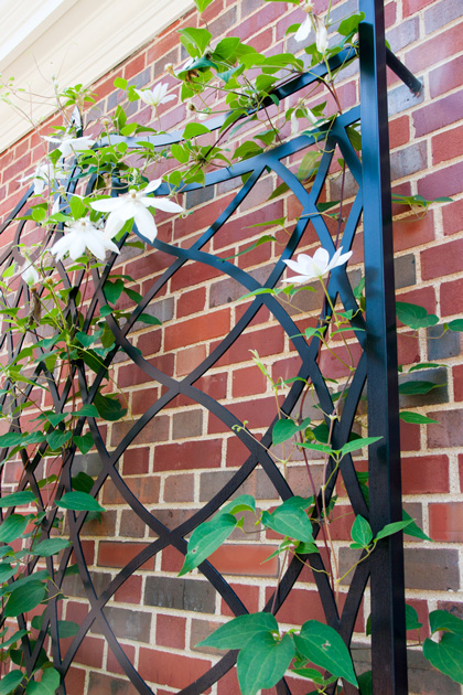 Undulating Lattice Trellis by Trellis Art Designs