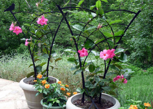 Small Tropical Trellis for pot or garden by Trellis Art Designs