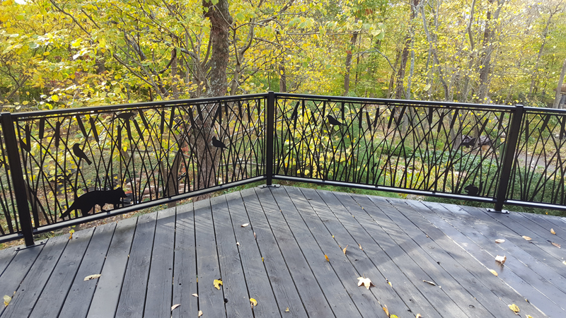 Deck Railing October 2017