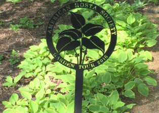 american hosta society marker