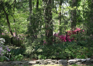 Fence in beautiful setting by Trellis Art Designs