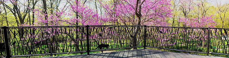 Deck Fence by Trellis Art Designs